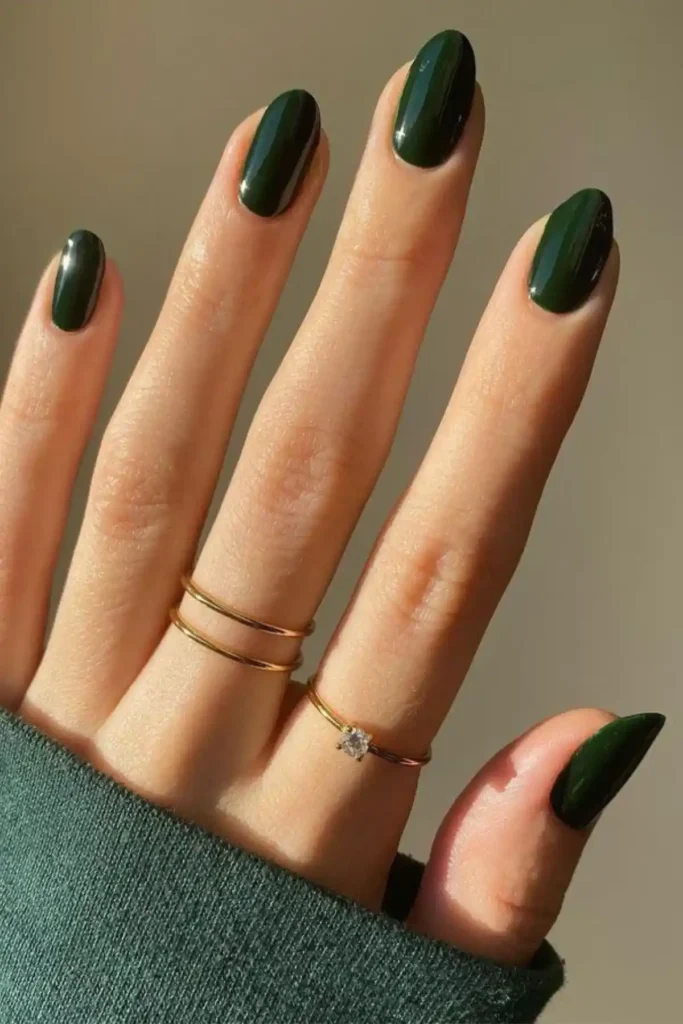Glossed Olive