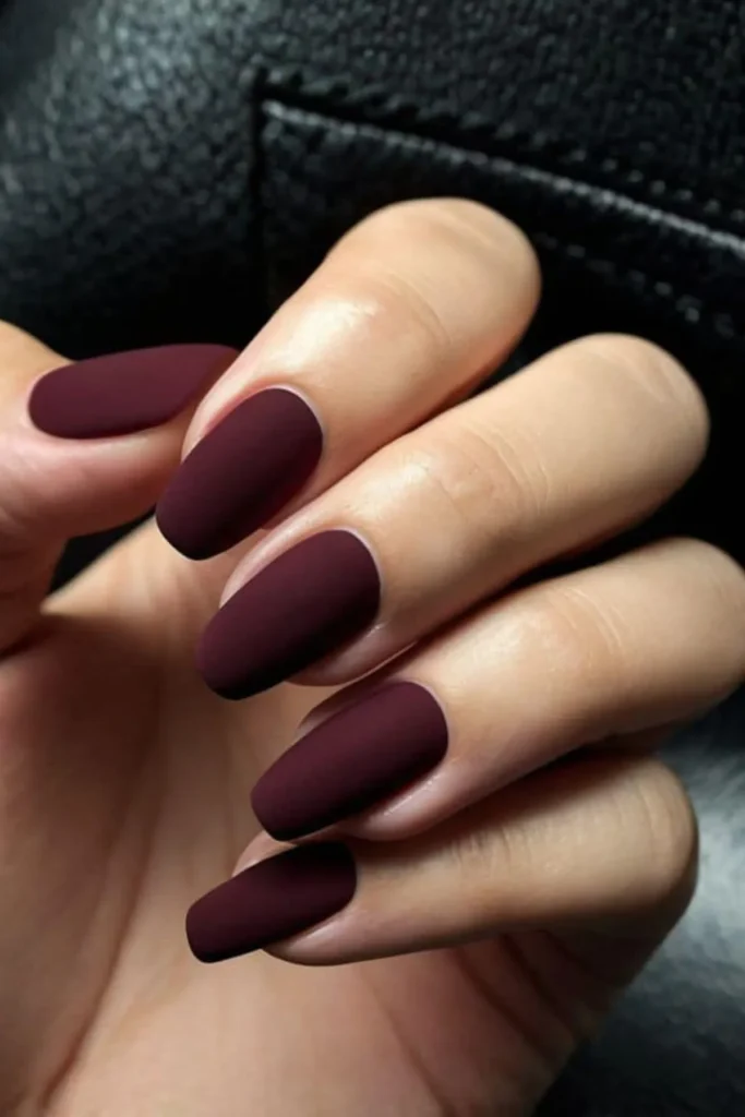 Chic Purple Matte Nails
