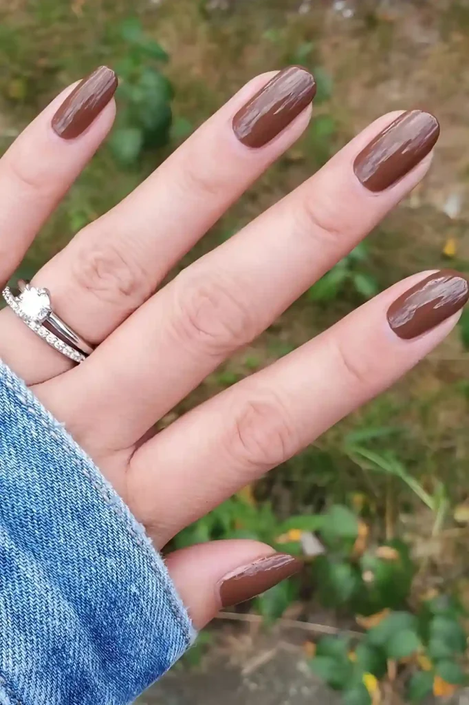 Elegant Brown Nails