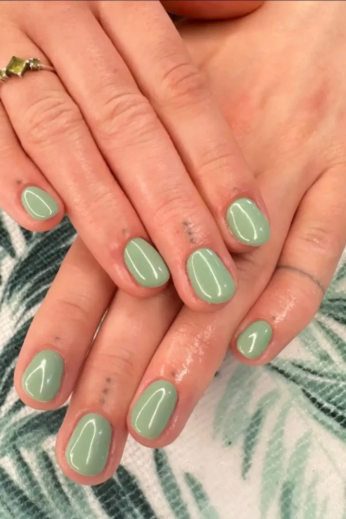 Glossy Sage Glow