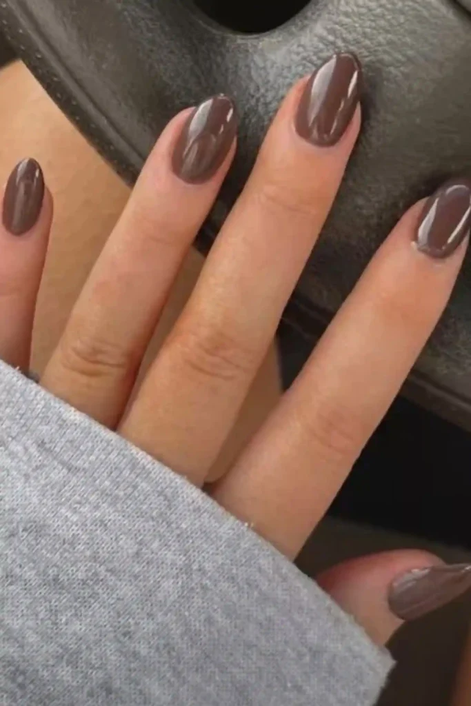 Sophisticated Brown Nails